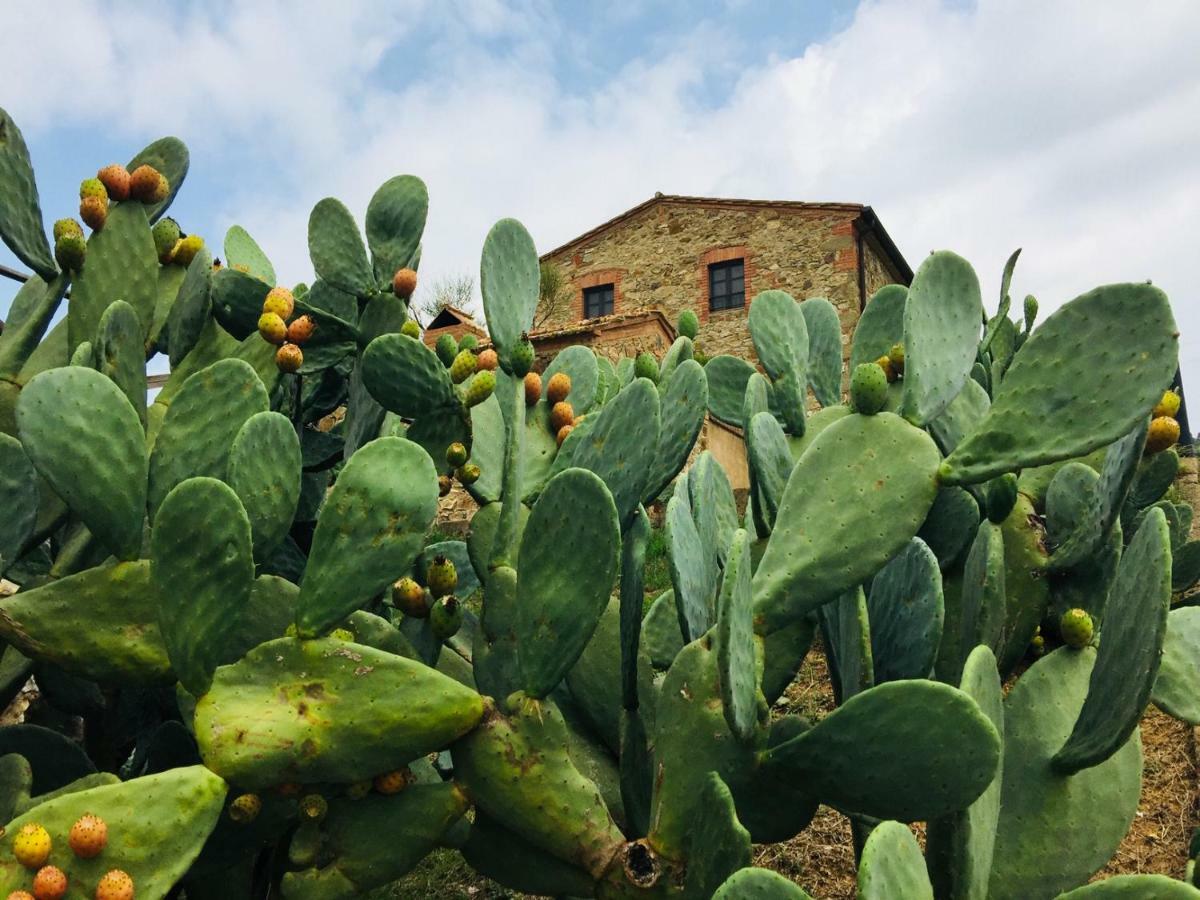 Casetta Tre Poderi Appartamento Cactus Monte Cucco Eksteriør billede